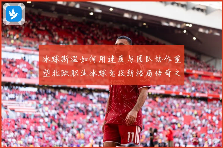 冰球斯温如何用速度与团队协作重塑北欧职业冰球竞技新格局传奇之路